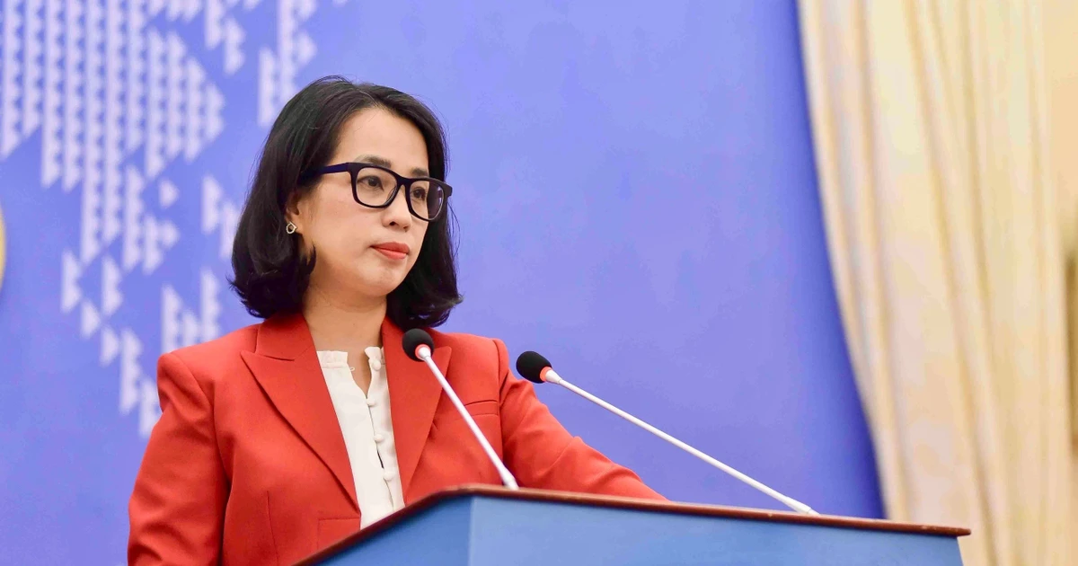 Việt Nam lên tiếng việc Mỹ khởi xướng điều tra về sở hữu trí tuệ
