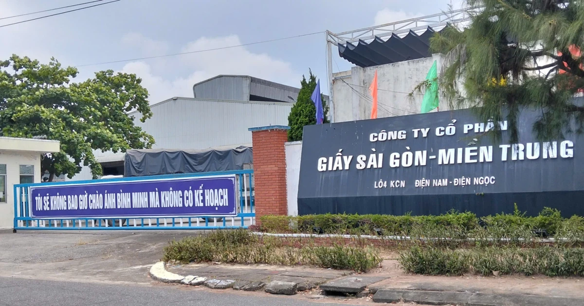 Đà Nẵng yêu cầu khẩn trương xử lý ô nhiễm môi trường tại nhà máy giấy