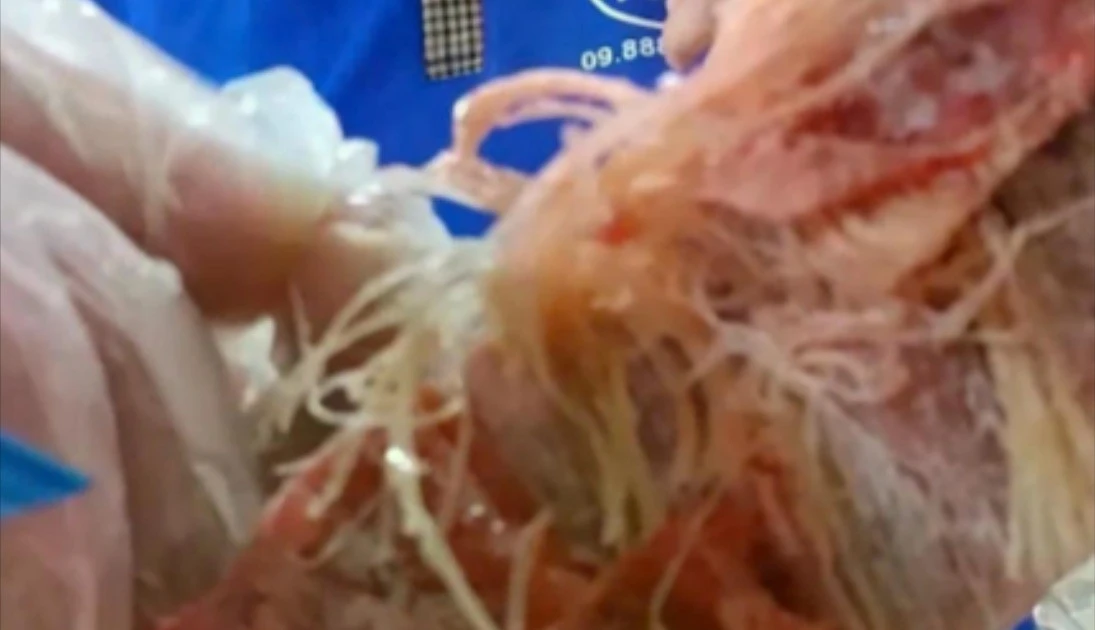 Nhiều trường học ở TPHCM ngưng suất ăn bán trú vì nghi thịt hết hạn vào trường