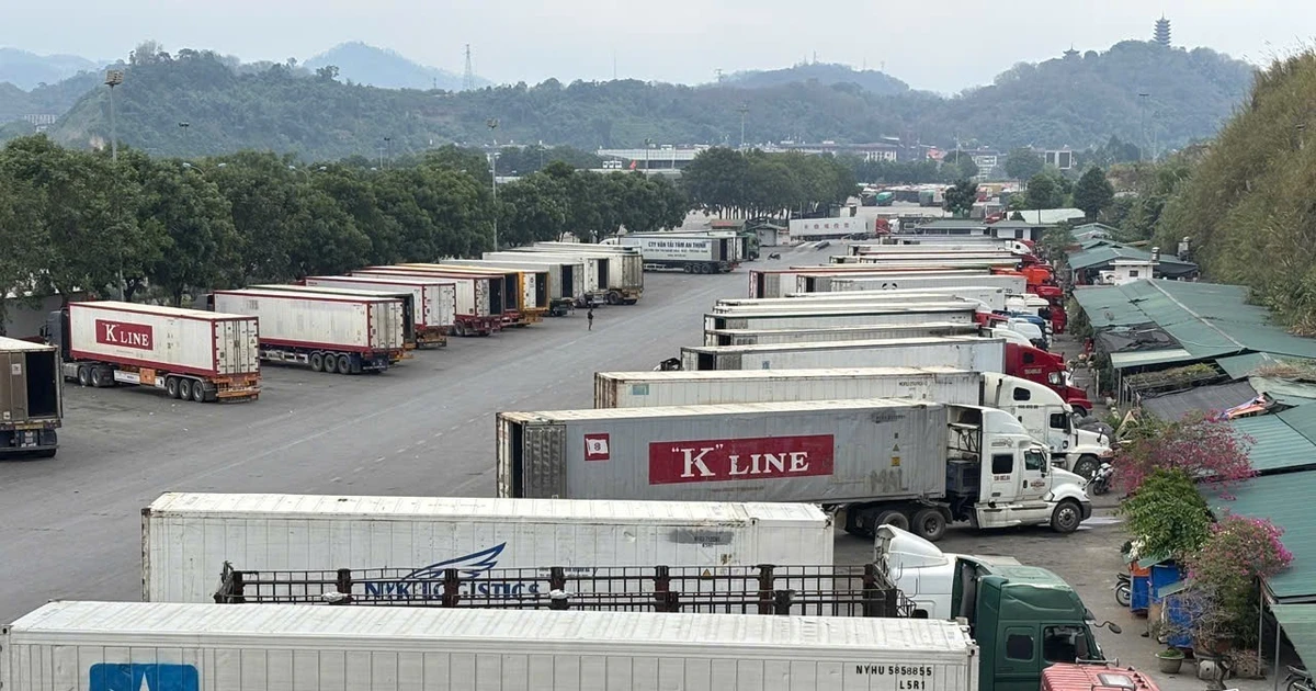 Kết luận mới nhất của lãnh đạo Chính phủ về Nghị định 46