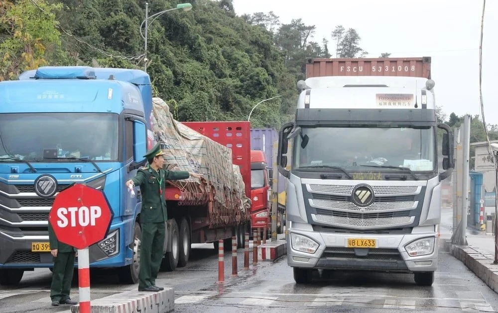 Tạm ngưng hiệu lực Nghị định số 46: Lộ khoảng trống điều khoản chuyển tiếp