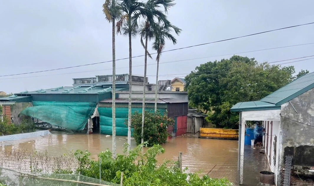 Hưng Yên: Nước tràn đê bao, thiệt hại hơn 40.000 ha hoa màu