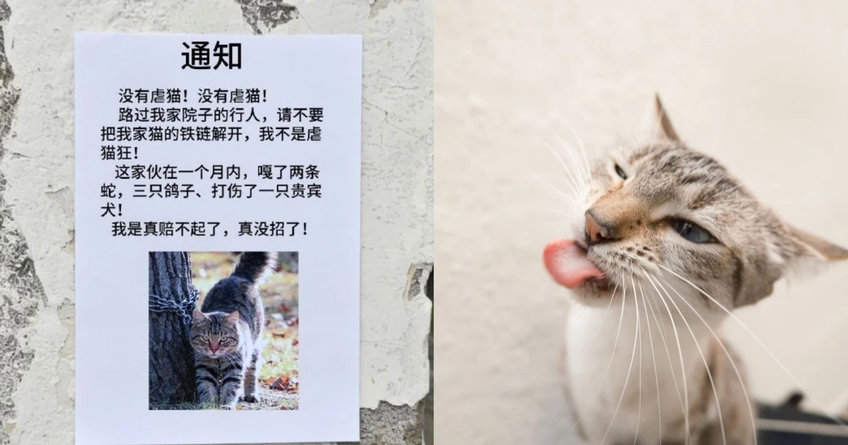 Dân mạng Trung Quốc chia phe tranh cãi vụ chủ xích mèo vì sợ phải đền tiền