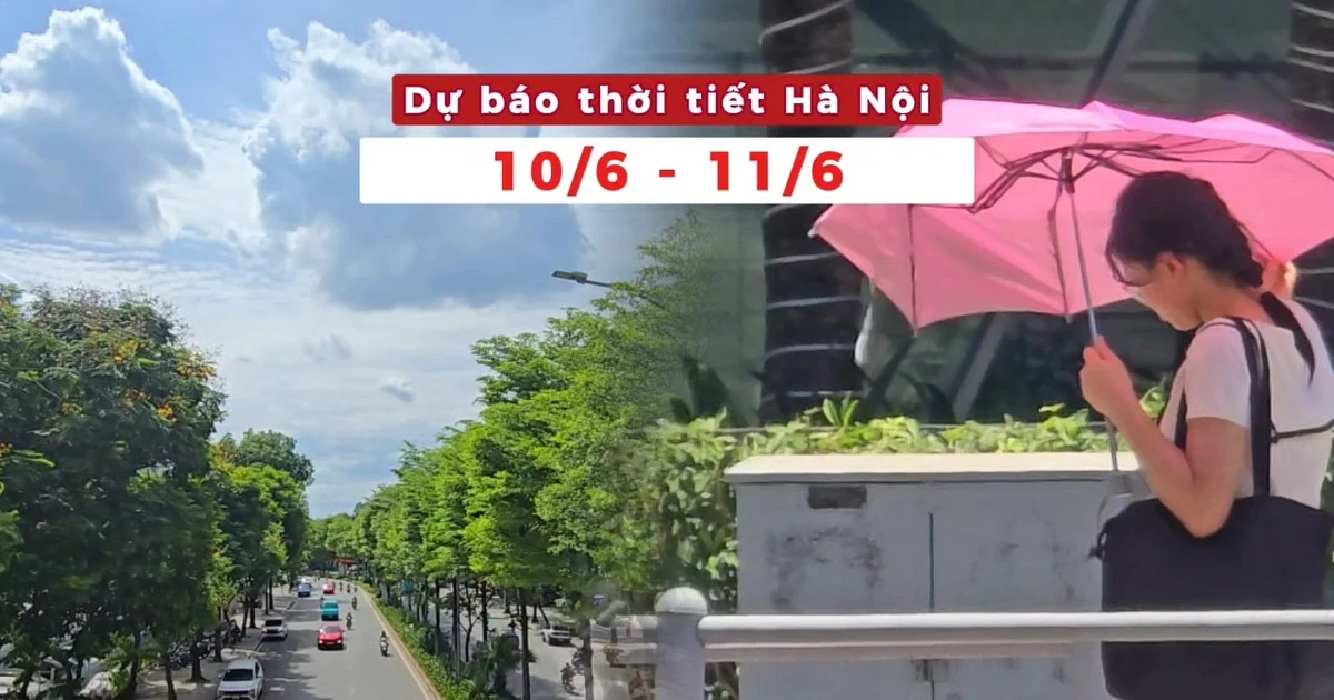 Dự báo Thời tiết Hà Nội (10 - 11/06): Chiều tối và đêm có mưa vài nơi