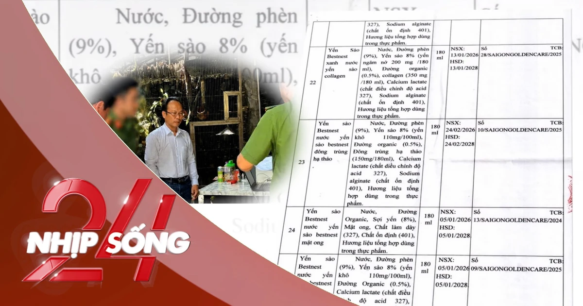 NHỊP SỐNG 24: Công bố 27 loại nước yến giả