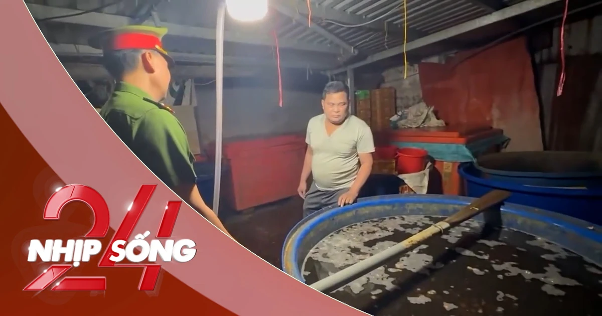 NHỊP SỐNG 24: Bên trong đường dây dùng 500 tấn 'thủy tinh lỏng' ngâm 3.000 tấn thịt ốc bươu