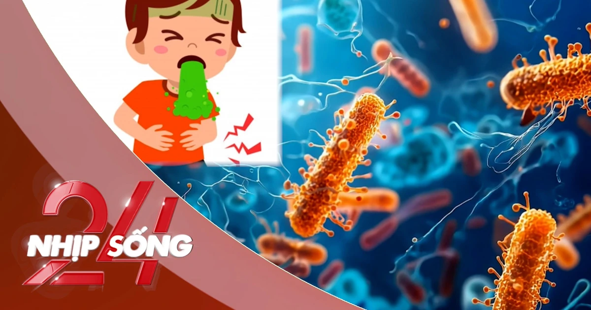 NHỊP SỐNG 24: Triệu chứng của chất Cereulide có trong các loại sữa bị NESTLÉ thu hồi