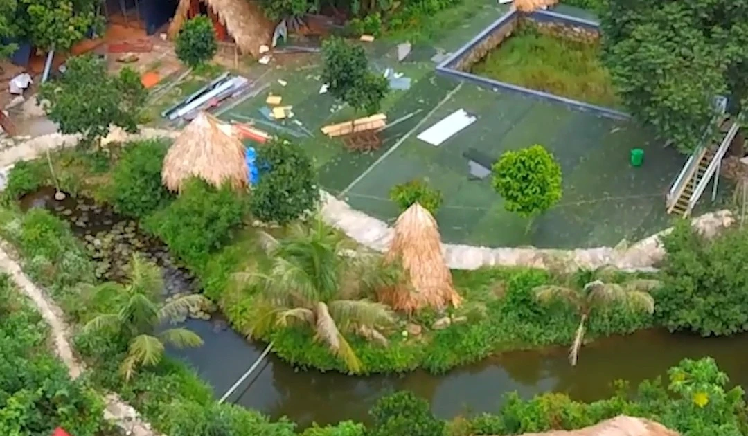 TP NOW: Trailer: 'Đất đa mục đích – Cơ hội phát triển và những vấn đề đặt ra trong thực tiễn'