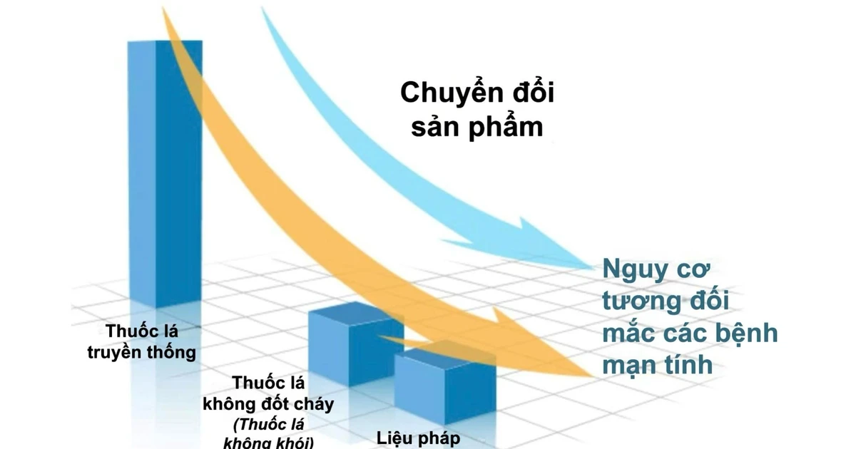 Chính sách thuốc lá không khói toàn cầu: Từ siết chặt đến những điều chỉnh đảo chiều