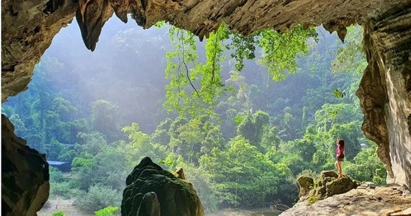 Bàn phương án hợp tác di sản Phong Nha - Kẻ Bàng và Hin Nam Nô