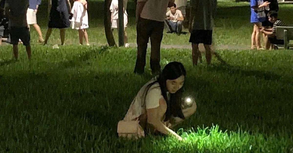 Khách nước ngoài rơi nhẫn kim cương, người dân soi đèn, vạch cỏ tìm giúp trong đêm