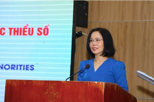 Tăng cường năng lực cho người thực hiện trợ giúp pháp lý cho nạn nhân bạo lực gia đình, người dân tộc thiểu số