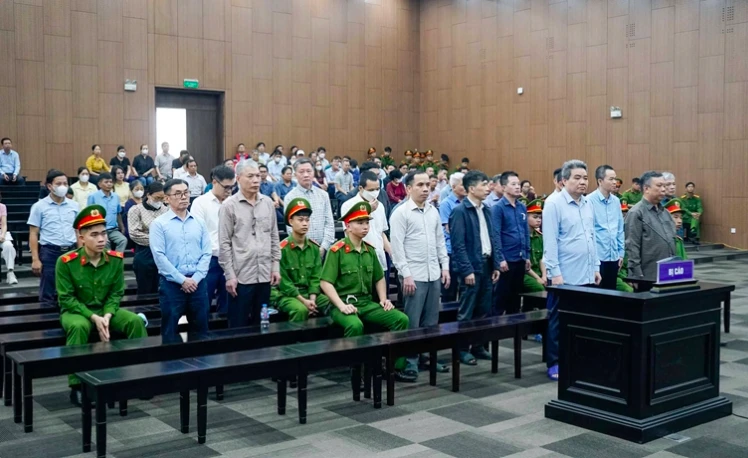 Phó giám đốc Công ty Hoàng Dân khai được trấn an 'việc này để giám đốc lo'