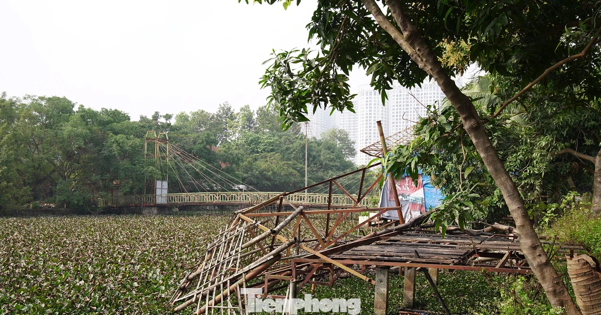 Khu sinh thái 15ha giữa Hà Nội bị bỏ hoang, hóa thành bãi rác, sân pickleball