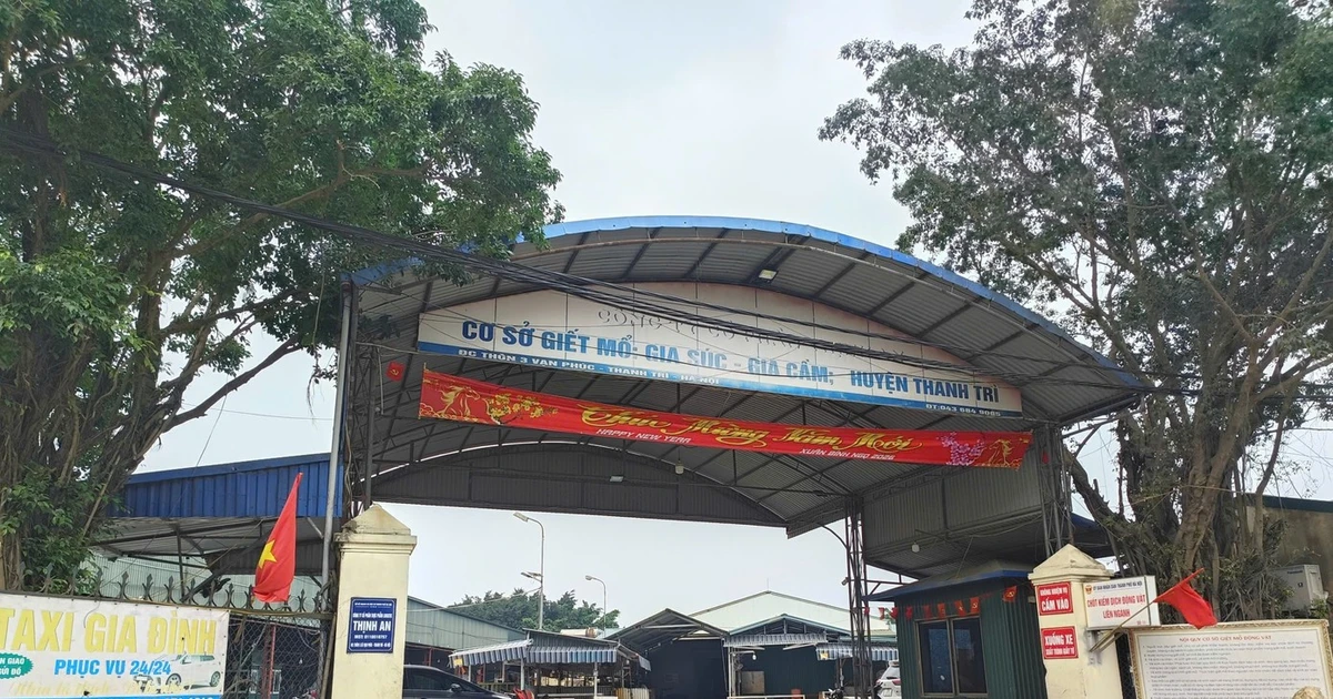 Hà Nội sẽ xử lý người đứng đầu đơn vị, địa phương để xảy ra thực phẩm 'bẩn'
