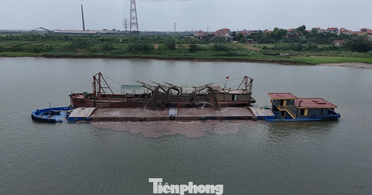 Hưng Yên: Người dân bất lực nhìn đất hoa màu bị cuốn trôi do hút cát trên sông Hồng