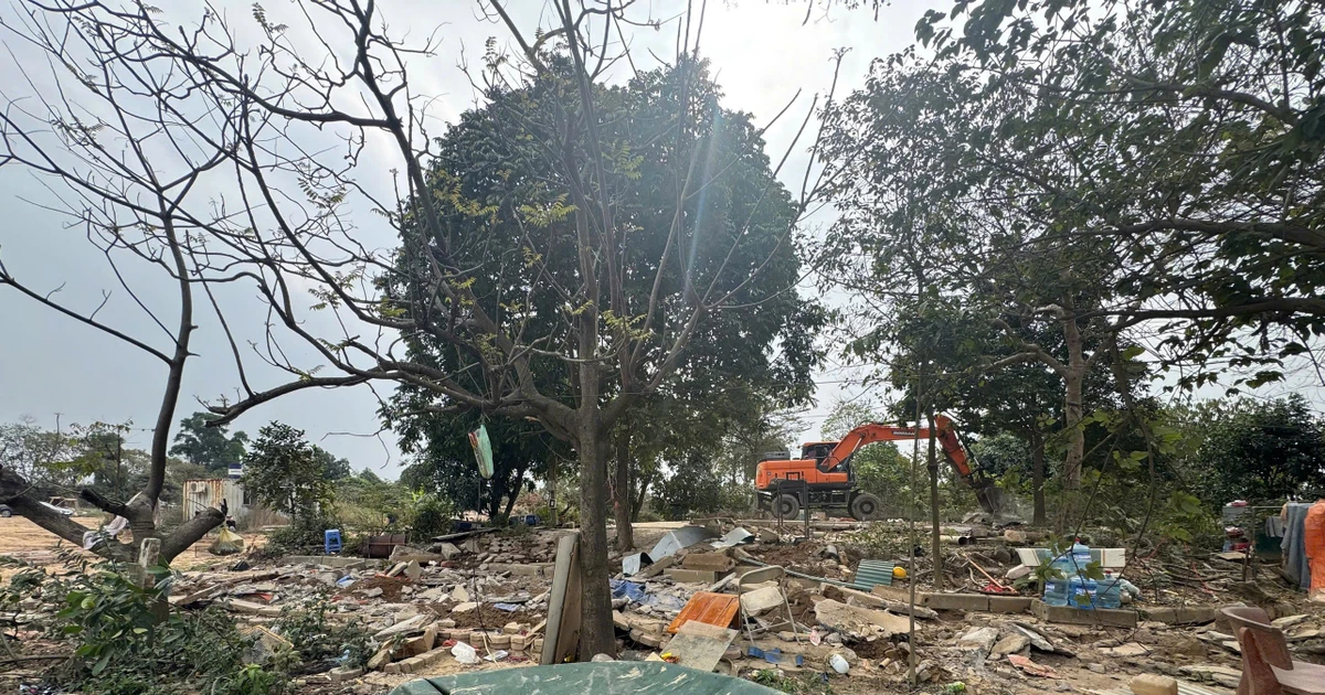 Hà Nội cưỡng chế 7 điểm tập kết cát, sỏi ven sông Hồng