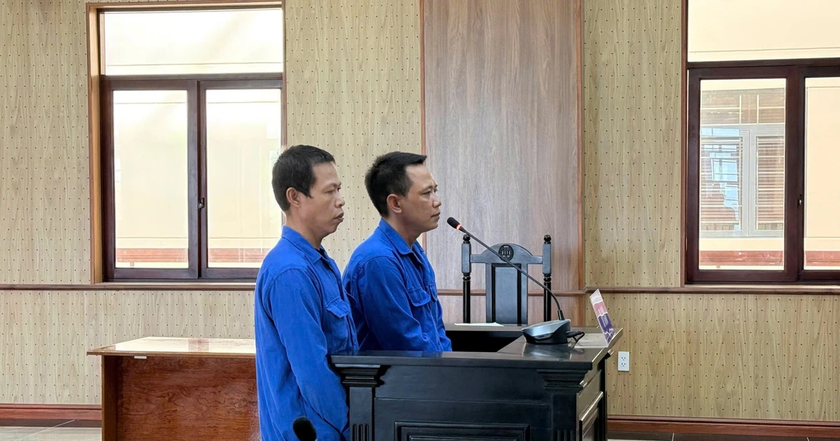 TPHCM phạt tù 2 thuyền trưởng đánh bắt trái phép trên vùng biển nước ngoài