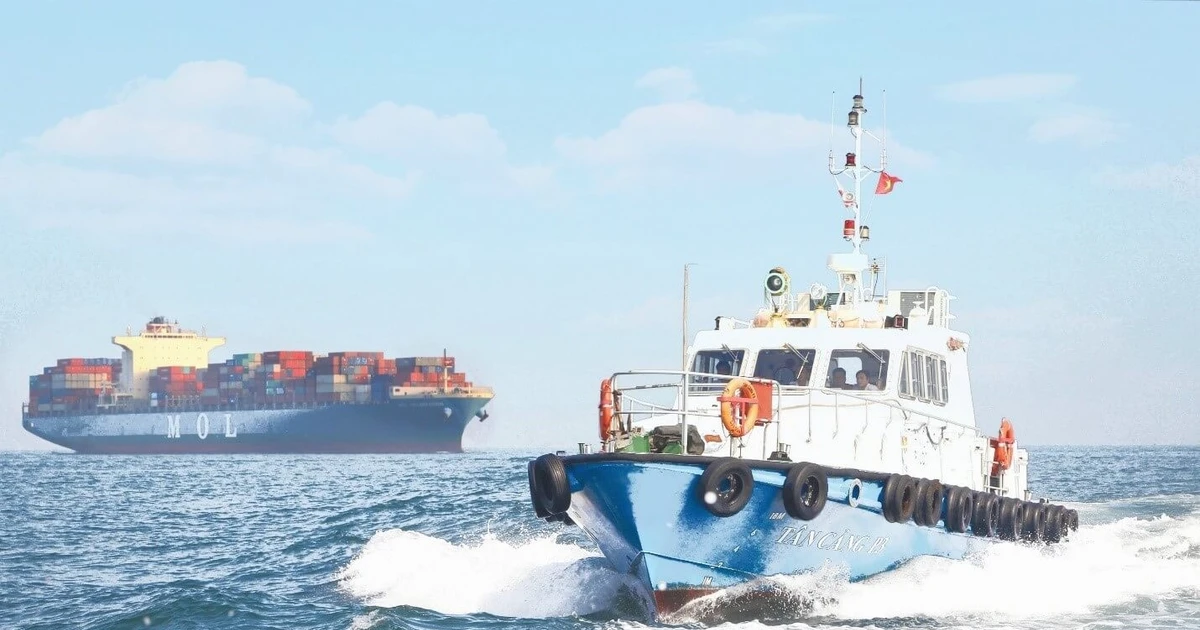 Tàu biển mang cờ Việt Nam được giảm phí vận tải