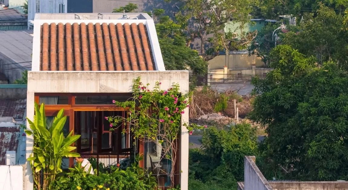 Nhà hình tổ chim: Không gian sống mềm mại giữa phố thị