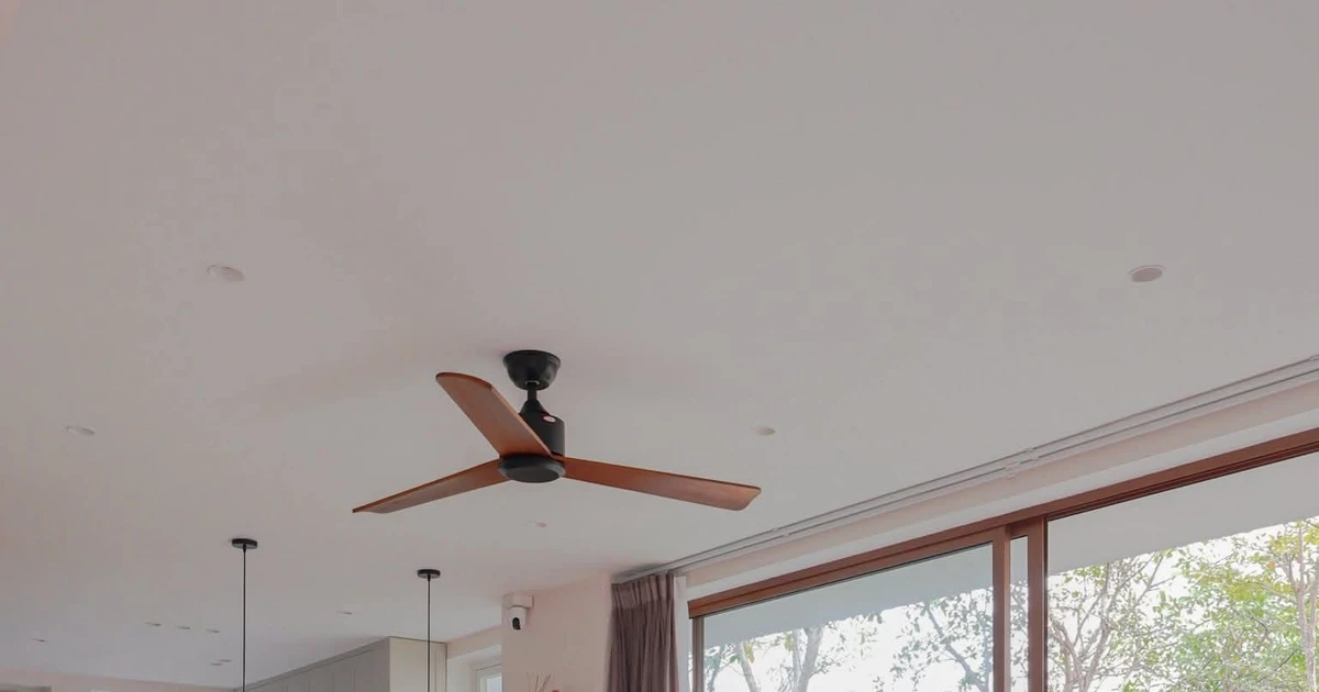 Không gian với góc nhà đầy hoa lá, tràn ngập ánh sáng