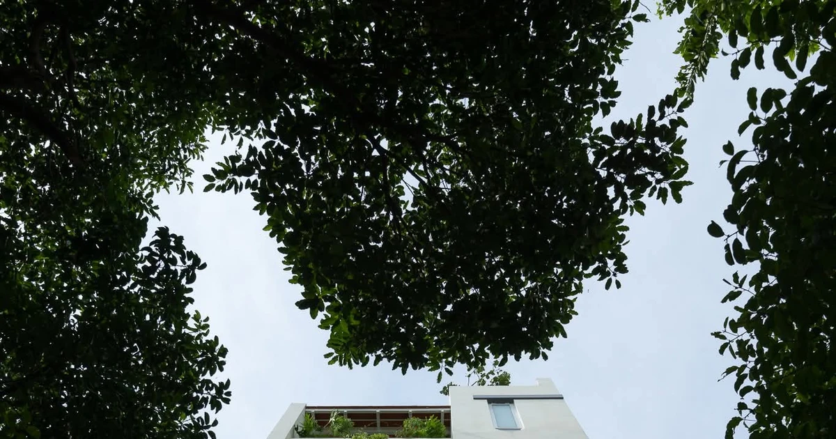 Ngôi nhà sum vầy ba thế hệ giữa ánh sáng và không gian mở