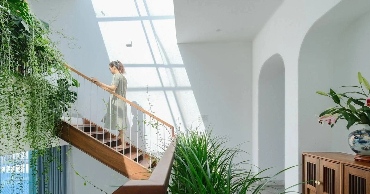 Cuộc sống bình yên bên trong ngôi nhà trắng, xanh lam