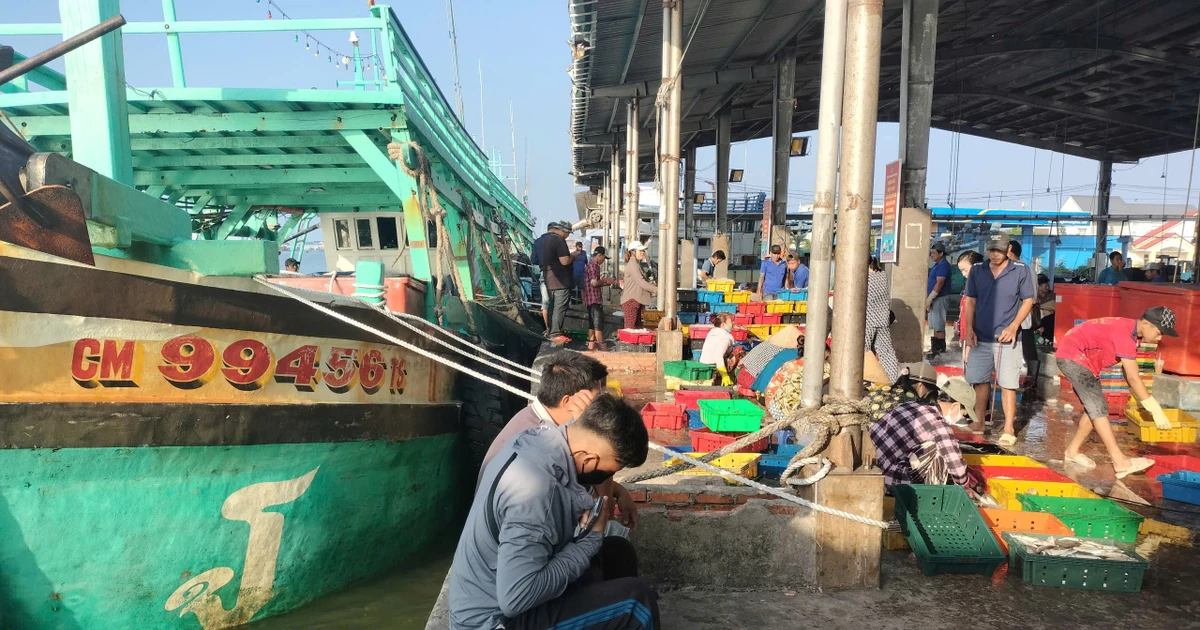 Thanh tra Chính phủ quyết định thanh tra công tác chống IUU ở Cà Mau