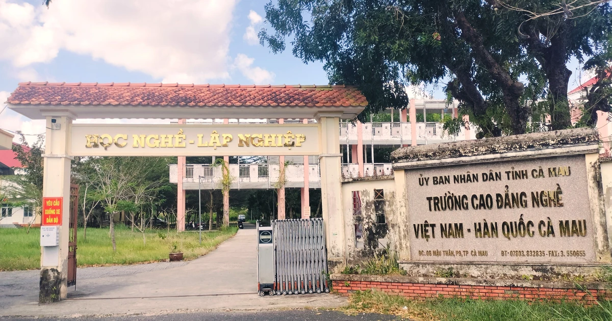 Cà Mau trình phương án sáp nhập 4 trường cao đẳng