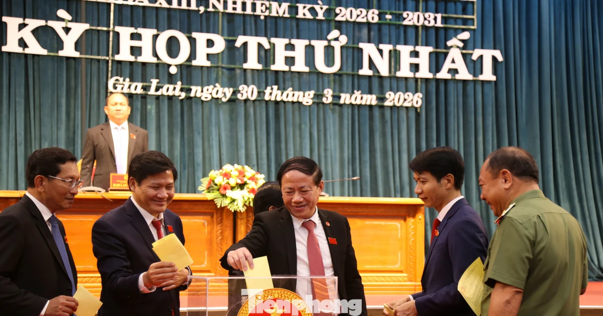 Gia Lai bầu nhân sự chủ chốt HĐND và UBND tỉnh