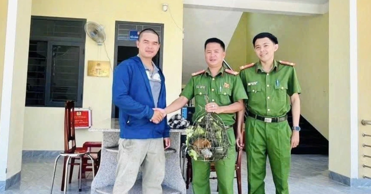 Phát hiện động vật quý hiếm đi lạc vào khu dân cư