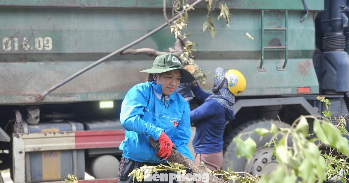 Tuổi trẻ Gia Lai tham gia khắc phục hậu quả bão số 13