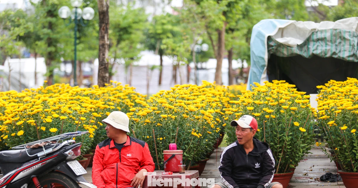 Hoa Tết chất ngập phố, tiểu thương 'đứng ngồi không yên'