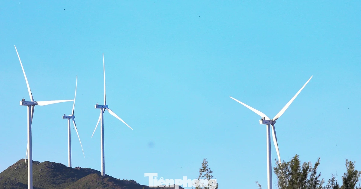 Gia Lai gọi vốn cho 12 dự án năng lượng tái tạo