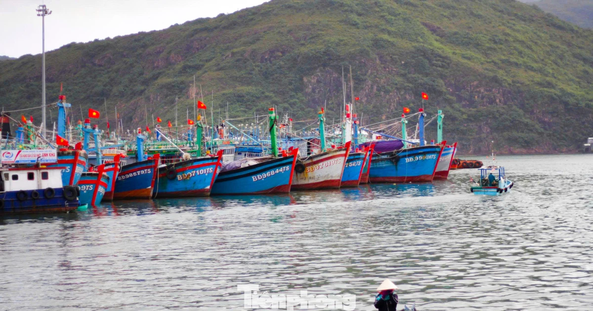 Gia Lai siết chặt chống khai thác IUU: Phân công đảng viên giám sát từng tàu cá
