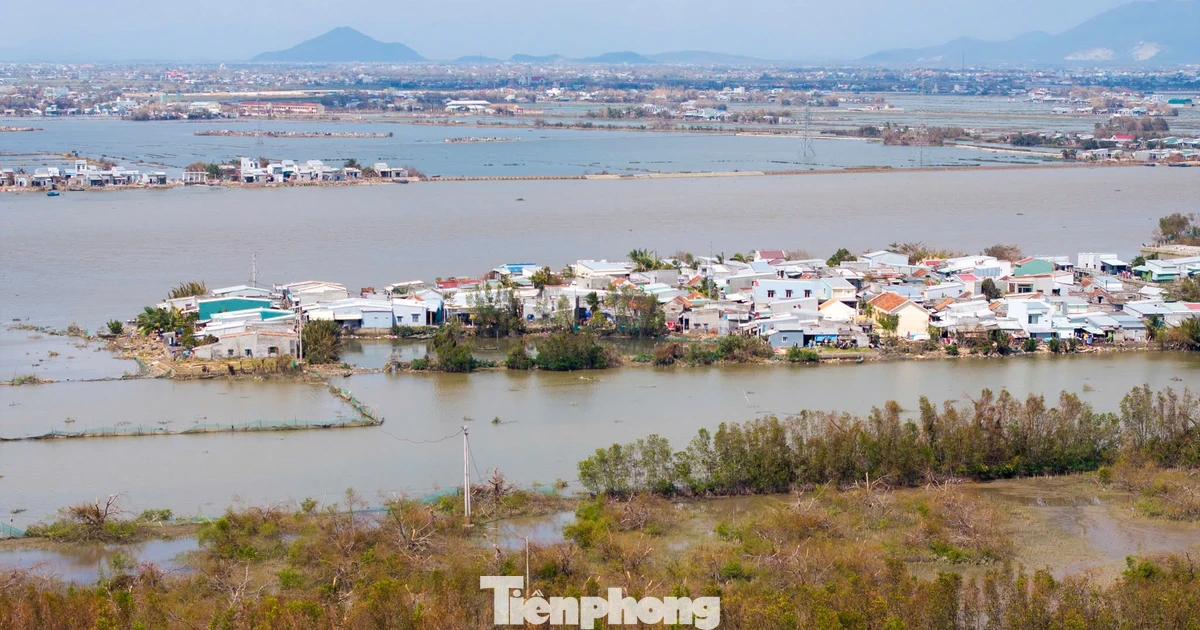 'Ốc đảo xanh' giữa đầm Thị Nại xơ xác sau bão