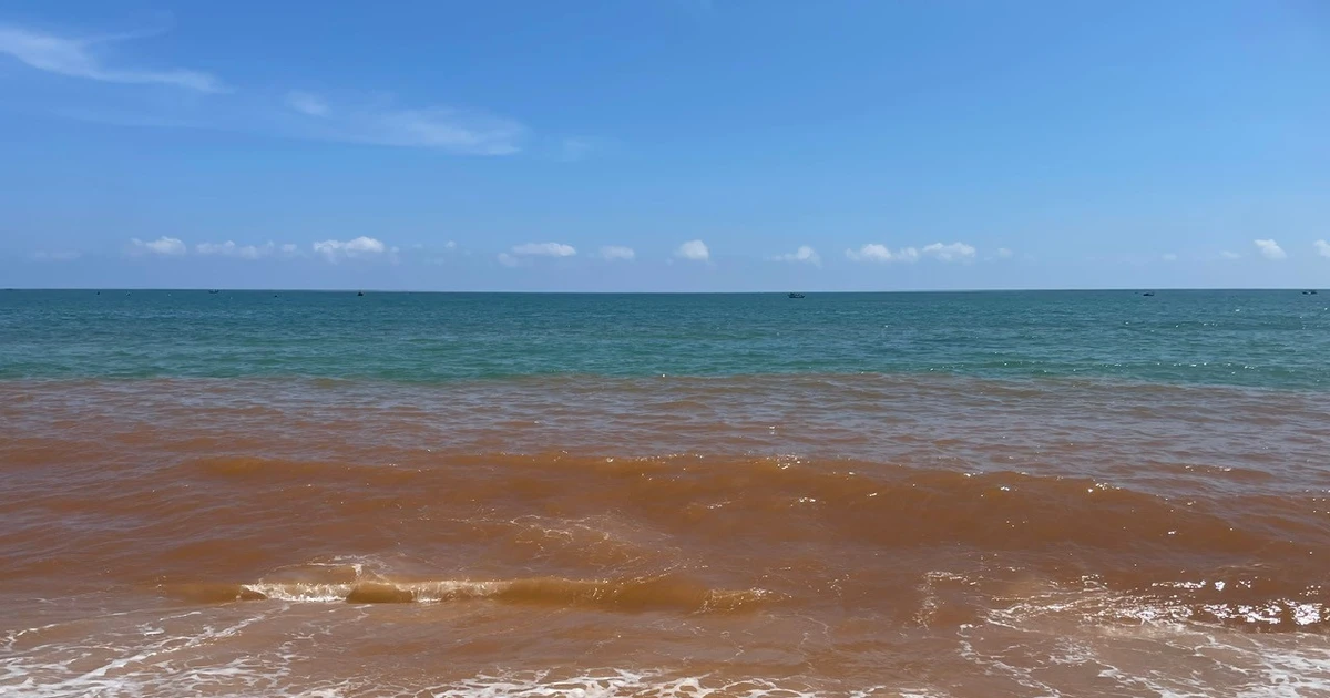 Biển ở Gia Lai xuất hiện dải nước nâu đỏ kéo dài hàng kilomet