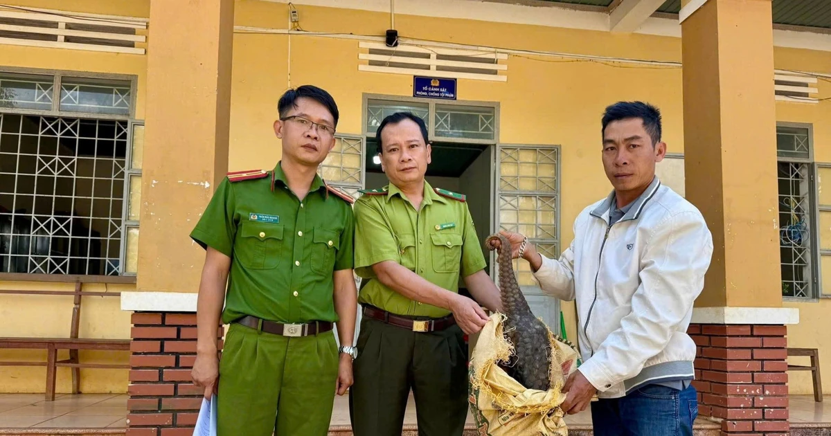 Phát hiện con vật ‘lạ’ trước nhà, người đàn ông ở Gia Lai làm điều bất ngờ