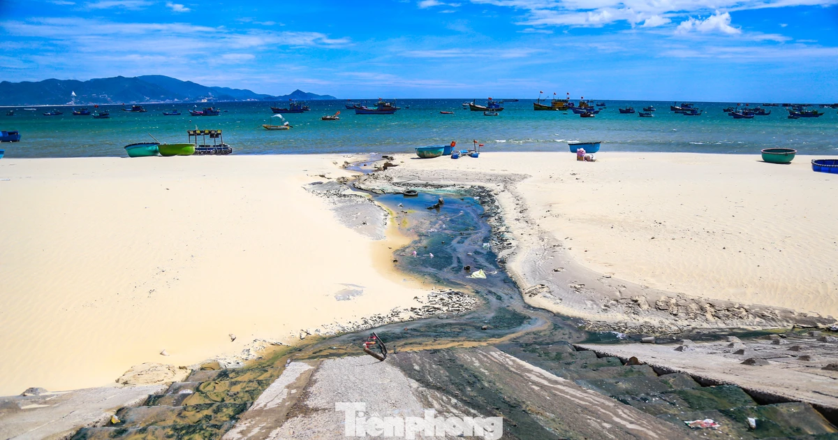 Nước thải hôi thối chảy thẳng ra biển Quy Nhơn