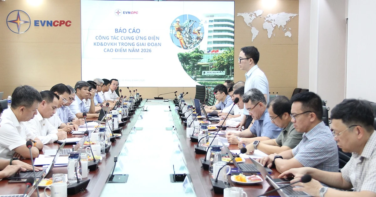 EVN kiểm tra công tác cung ứng điện tại EVNCPC trong cao điểm nắng nóng