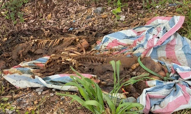 Thực phẩm bẩn 'làm loạn' thị trường, vì sao không có thống kê vi phạm?