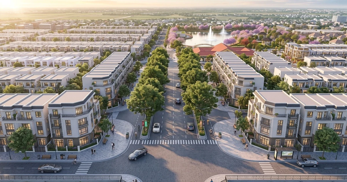Sao Mai Central Point: Nơi hành trình mới bắt đầu từ những khoảng xanh