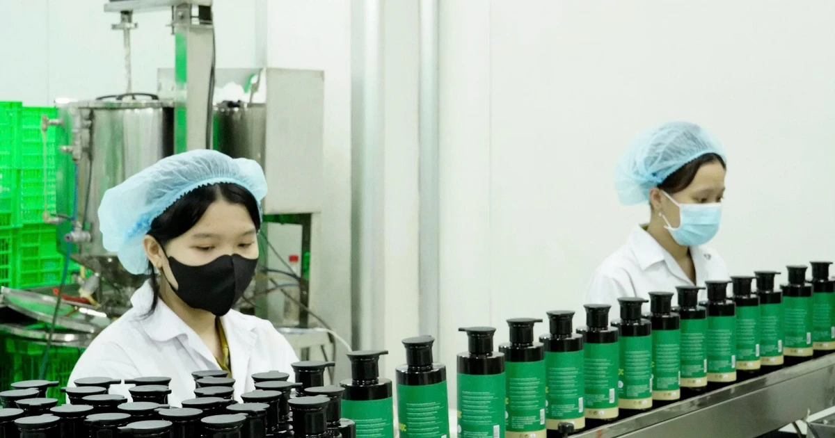 Gia công mỹ phẩm: Mắt xích tạo thương hiệu trong kỷ nguyên cạnh tranh