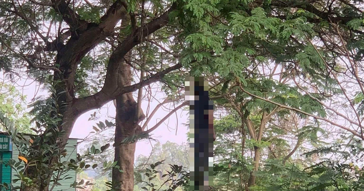 Hốt hoảng phát hiện người đàn ông chết treo cổ trên cây ven đường