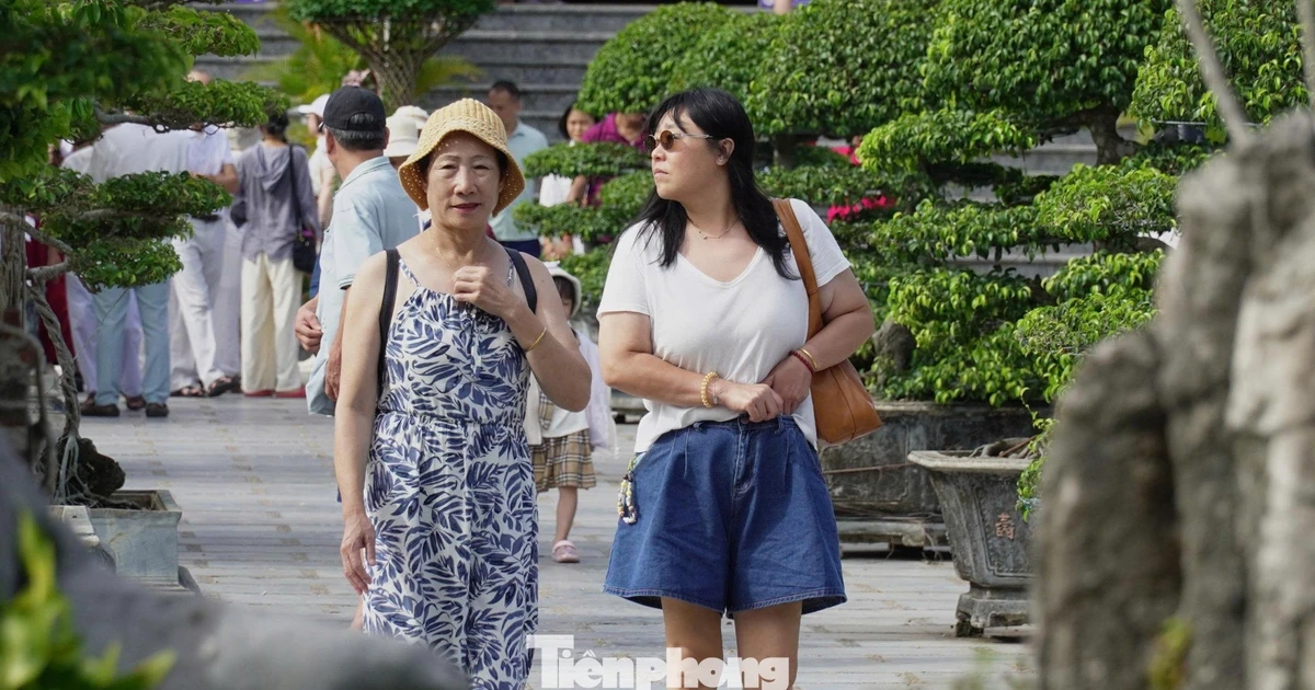 Ngôi chùa nổi tiếng Đà Nẵng làm cách này để tránh cảnh khách mặc phản cảm