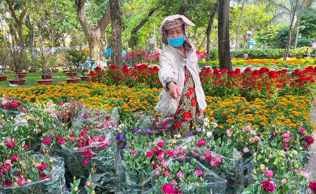 tienphong.vn