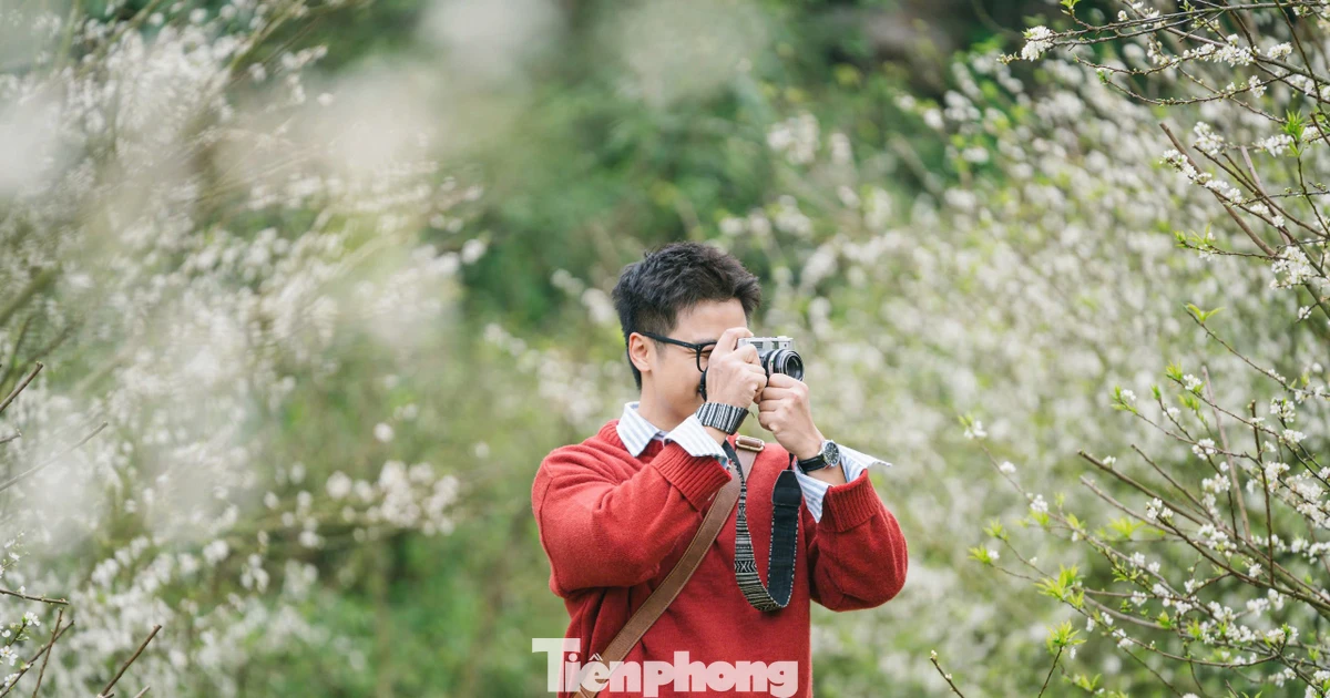 Hoa mận nở sớm, tinh khôi giữa tiết trời đầu đông ở Mộc Châu