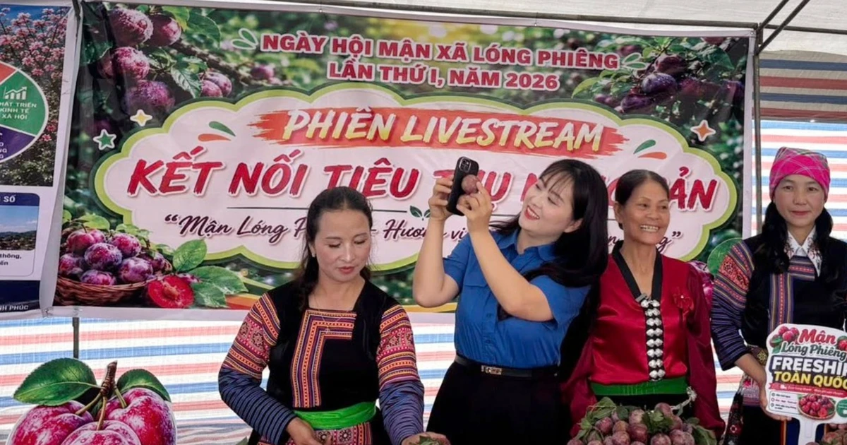 Thanh niên livestream đưa đặc sản Tây Bắc về xuôi