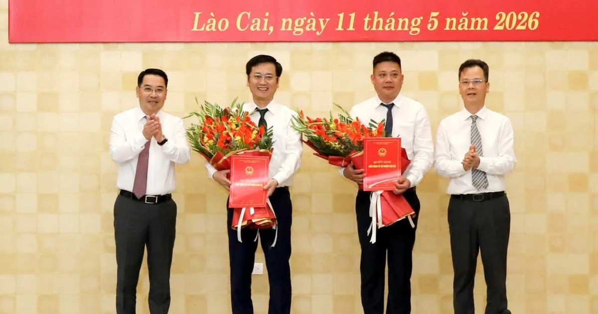 Lào Cai công bố các quyết định về công tác cán bộ