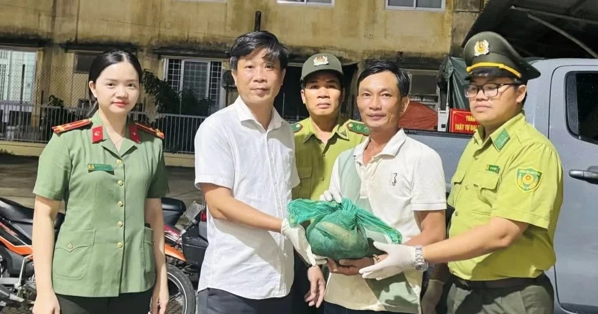 Người dân Huế giao nộp 26 cá thể động vật hoang dã, quý hiếm